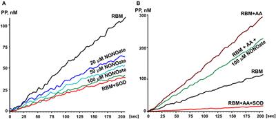 Physiological Levels of Nitric Oxide Diminish Mitochondrial Superoxide. Potential Role of Mitochondrial Dinitrosyl Iron Complexes and Nitrosothiols